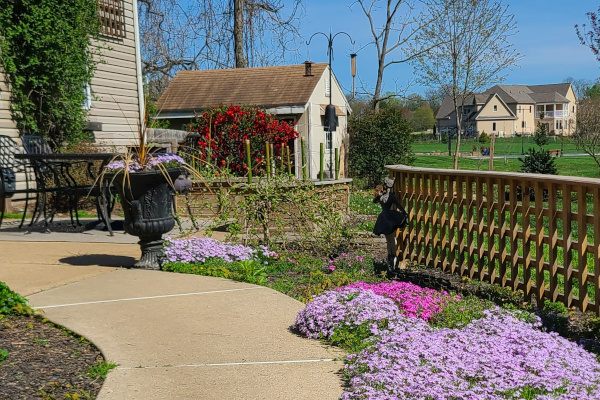 Canine Sanctum Play area